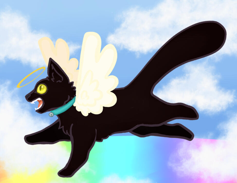 Alicorn Oc is not my own, please support the original artist